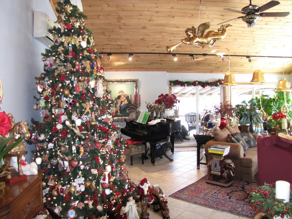 Shambhala Bed And Breakfast Buckhorn Exterior foto
