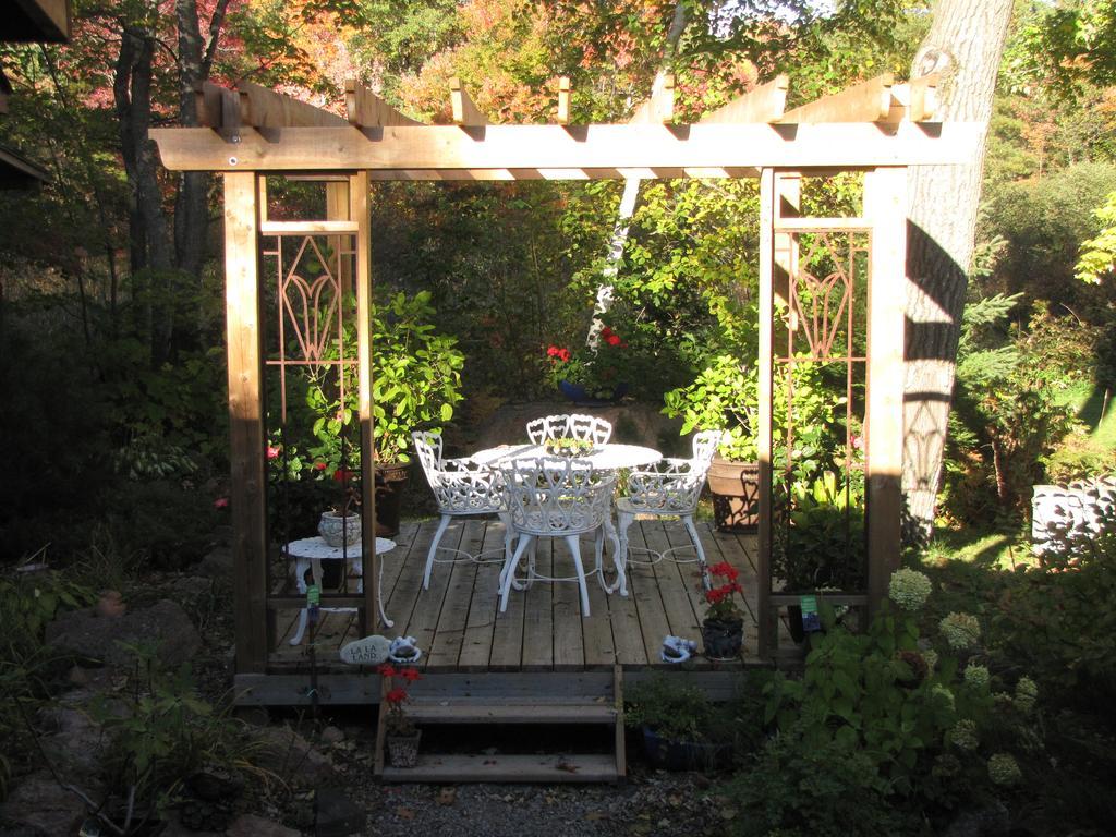 Shambhala Bed And Breakfast Buckhorn Exterior foto